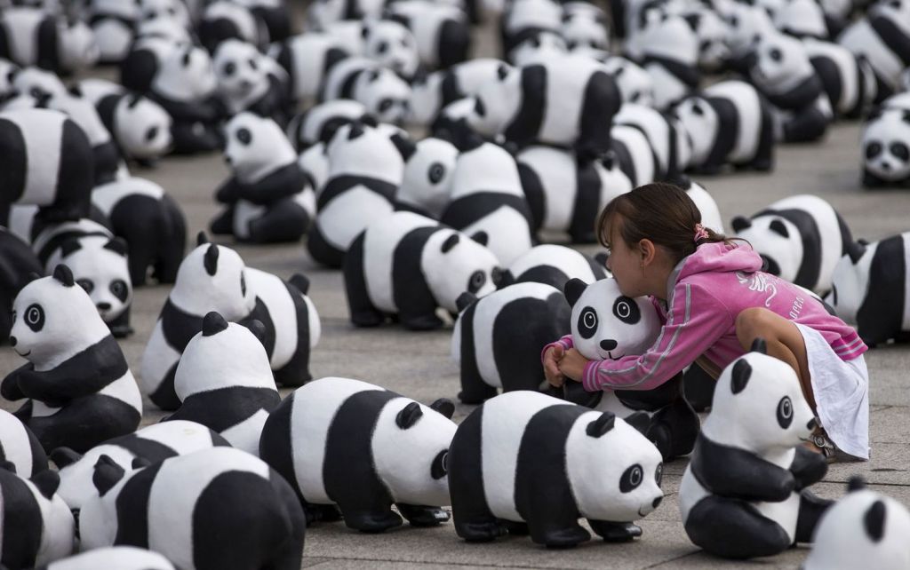 Всемирный день панды