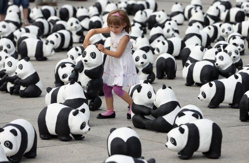 Всемирный международный день панды