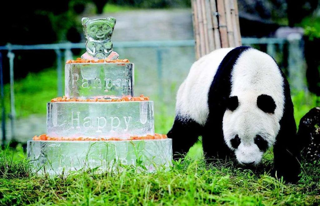 Специальный панда-торт.
