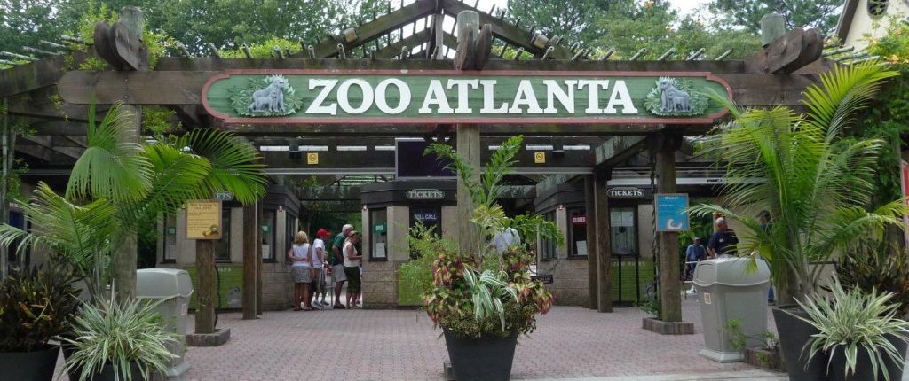 Зоопарк Атланты участвует во всемирной программе сохранения больших панд.
