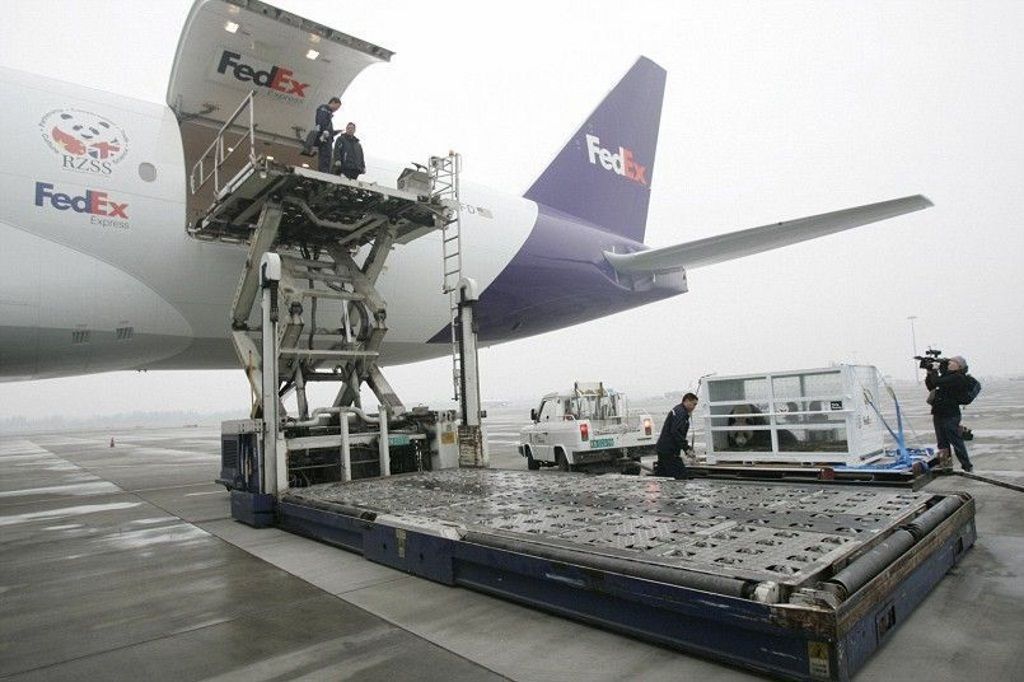 Чтобы выгрузить больших панд из самолета, в аэропорту Эдинбурга использовали специальное оборудование.