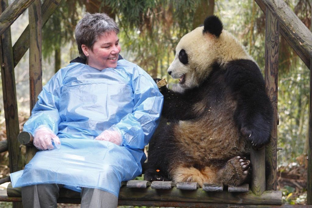 Главный специалист по большим пандам Элисон МакЛин сразу нашла с Тян Тян общий язык.