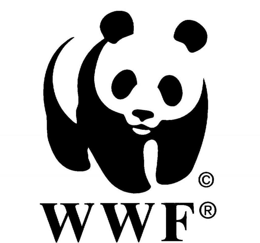 Официальный символ Всемирного фонда дикой природы.