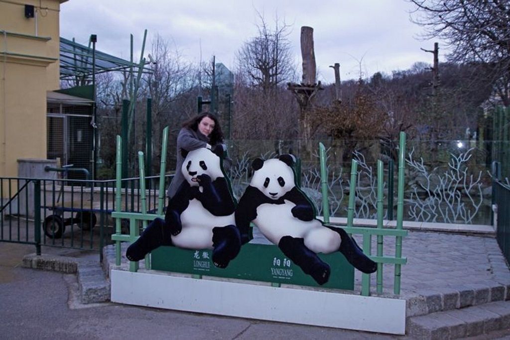 Павильон больших панд – гордость Шёнбруннского зоопарка.