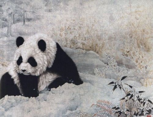 Панда как символ в искусстве, поэзии и психологии